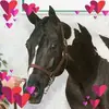 Kim Beckman - @kim.beckman5 - TikTok