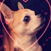 kimbeech622 - @kimbeech622 - TikTok