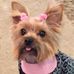 Kim Beene - Facebook