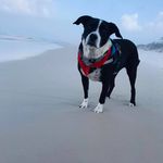 Kim Beene - @beenekim - Instagram