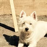 Kim Beresford Dustin - @kimberesforddustin - Instagram