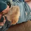 ❤️kimber ❤️ - @kimber.tramm13 - TikTok