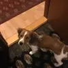 kimsonnebertram - @kimsonnebertram - TikTok