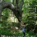 Kim Beyer - @authorkimbeyer - Instagram