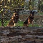Kim Beyer-Stiles - @kim_beyer_stiles - Instagram