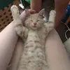 Kim Bissonnette - @kim..off - TikTok