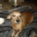 Kim Blaser - Facebook
