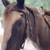 Kim Blaser - Facebook