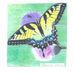 Kim Blaser - Facebook