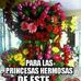 Kim Blau - Facebook