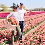 Kim van Haaster - @kimbloomeffects - Instagram
