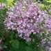 Kim Blume - Facebook