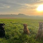 Kim Boardman - @boardman.kim - Instagram