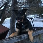Kim Bolduc - @shadow123424 - Instagram
