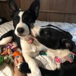 Kim Bolin Williams - @kimbolinwilliams - Instagram