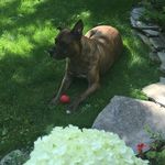 Kimbones - @kimbones432 - Instagram