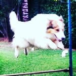 kim_border - @kim_border_ - Instagram