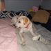 Kimberly Bostic - Facebook