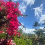 Kim Bourque Cardinal - @krb1978 - Instagram