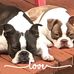 Kim Bowlin - Facebook