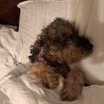 Kim Branch - @kimmiebranch2011 - Instagram