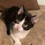 Kim Branson - @glowmoon03 - Instagram