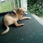 Kim Brenner - @brenner_kim - Instagram