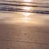Kim Brenner VanHoose - @kim.brenner.vanho - TikTok