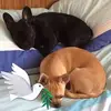 Kim Brice - @kim.brice2 - TikTok