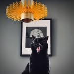 Kim Brice - @vintagebangkokim - Instagram
