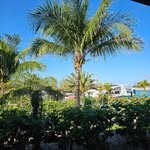 Kim Ramsey - @kim_bricker - Instagram