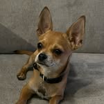 Kim Brill - @brillopads - Instagram