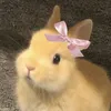 또잉‘s - @kimbunny_ - TikTok
