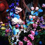 kim Burbank - @kim.burbank - Instagram