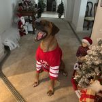 Kim Burch - @kim_ce_b - Instagram