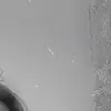 🤍 - @kim.burgeringxx - TikTok