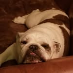 Kim Burkhardt - @kim.burkhardt.77 - Instagram