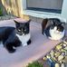 Kimberly Behl - Facebook
