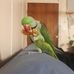 Kim Burnell - Facebook