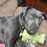 Kimberly Buttram - @kimberly.buttram.503 - Instagram