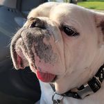 Kim Cahoon-Tucker - @kimtucker5370 - Instagram
