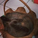 Kim Cantor - @epicpapatwilight - Instagram