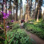 Kim Carmichael - @bugabuimages - Instagram
