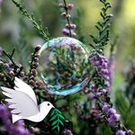 Kim Carmichael - @oatcakes52 - Instagram