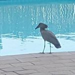 Sunbirds B&B - @carmichael.kim - Instagram