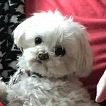 Kim Baity Carnahan - @kim.b.carnahan - Instagram