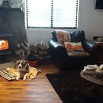 Kim R. Carnahan - @carnahankim - Instagram