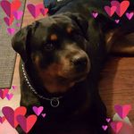 Kim Blaylock Carney - @kim.carney.52 - Instagram
