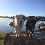 Kim Koszti - @kimcarruthers2 - Instagram