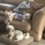 Kim McHoul Cavanaugh - @mchoulcavanaugh - Instagram